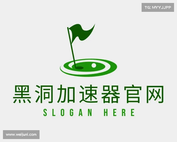 认识黑洞加速器官网